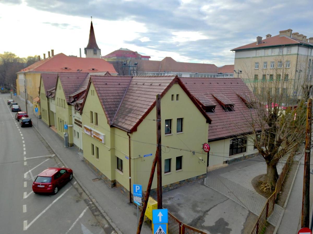 Pensiunea Luceafarul Сібіу Екстер'єр фото